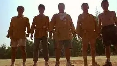 PT真人视讯 产品 121256 12b