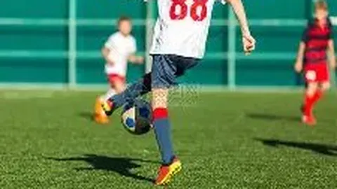 PT真人视讯 资讯 120132 xrn