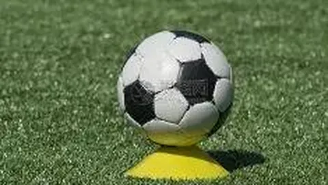 PT真人视讯 产品 093908 7z6